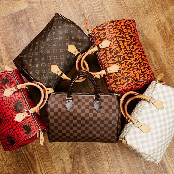 👑😻 Speedy 25 LV Purse Organizer @AlgorithmBags - Picture 15 of 15